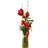 Flowerhouse.se Amaryllis solitary