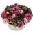 Flowerhouse.se Romantica