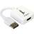 Lindy HDMI - DisplayPort Adapter F-M 1m