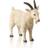 Mojo Billy Goat 387077