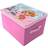 Spin Master Paw Patrol Girls Skye Rectangle Shaped Light Weight Childrens Storage Box