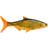 Storm R.I.P Roach 21cm Crucian Carp CRUC