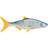 Storm R.I.P Roach 21cm Blue BPS