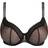 PrimaDonna I Want You Padded Bra - Black