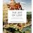 The Art of Lent: A Painting A Day From Ash Wednesday To Easter (Paperback, 2017)
