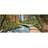 Ideal Decor Murals Path The Forest (00436)