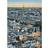 Ideal Decor Murals Paris Aerial (00434)