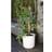 Windhager Coir Plant Stake