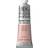 Winsor & Newton Winton Oil Color Flesh Tint 37ml