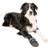 Trixie Walker Care Comfort Skyddsskor XS