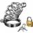 Master Series Asylum 4 Ring Locking Chastity Cage