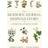 The Modern Herbal Dispensatory (Hæftet, 2016)