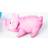 Trixie Bristle Pig