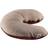 Sebra Ammepude Arctic Animals