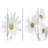 vidaXL Foldable Rumsavdelare 217x170cm