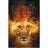 The Chronicles of Narnia (Paperback, 2001)