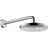 Hansgrohe Raindance Select S 240 2 jet (26466000) Krom, Sølv