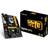 Biostar TB250-BTC