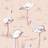 Cole & Son Flamingos Wallpaper Icons Collection 112/11039 Roll