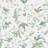 Cole & Son Tapete Hummingbirds Pastel verde/verde chiaro