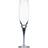 Orrefors Intermezzo Champagne Glass 26cl