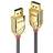 Lindy Gold Line DisplayPort - DisplayPort 1m