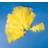 PlayBox Easter feathers yellow 48 pcs