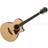 Ibanez AE255BT
