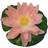 Pondteam Floating Water Lily