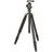 Kenro KENTR202 + Ball Head