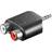 Wentronic 2RCA-3.5mm M-F Adapter