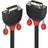 Lindy Black Line DVI-D-DVI-D Single Link 1m