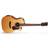 Cort Gold A6