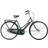 Raleigh Tourist De Luxe 3-Speed Female 2018 Damcykel