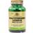 Solgar Deglycyrhised Licorice Root Extract 60 st