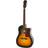 Epiphone AJ-210CE
