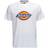 Dickies Icon Logo Light Weight T-shirt- White