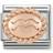 Nomination Composable Classic Aquarius Link Charm - Silver/Rose Gold