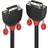 Lindy Black Line DVI-D-DVI-D Single Link 10m