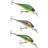 Daiwa Prorex Baby Crank MR 3g Live Rainbow Trout