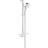 Grohe New Tempesta Cosmopolitan 100 (27576002) Chrome