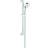 Grohe New Tempesta Cosmopolitan 100 (27786002) Chrome