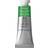 Winsor & Newton Professional Water Colour Permanent Sap Green 14ml