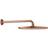 Grohe Rainshower Cosmopolitan 310 (26066DL0) Koppar