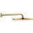 Grohe Rainshower Cosmopolitan 310 (26066GL0) Gold