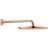 Grohe Rainshower Cosmopolitan 310 (26066DA0) Copper