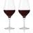 aida Passion Connoisseur Rödvinsglas 64.5cl 2st