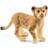 Schleich Lejonunge 14813