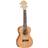Tanglewood TWT 6