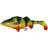 Savage Gear 4D Perch Shad 17.5cm Firetiger